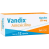 Vandix c/12 capsulas 250mg