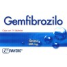 Gemfibrozilo c/14 tabs. 600 mg. *raypid