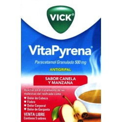 Vitapyrena manzana/canela c/5 sobres