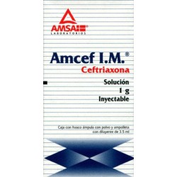 Amcef i.m. sol. iny. 1 gr. c/lidocaina