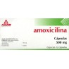 Amoxicilina c/12 caps. 500 mg.