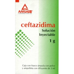 Ceftazidima gi sol. iny. 1 gr.